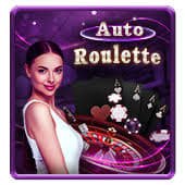 Giao diện nền tảng cá cược thể thao và casino trực tuyến hiện đại của sxtn